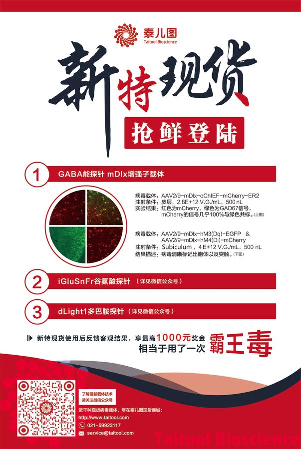 180924 新特现货 海报 转曲.jpg